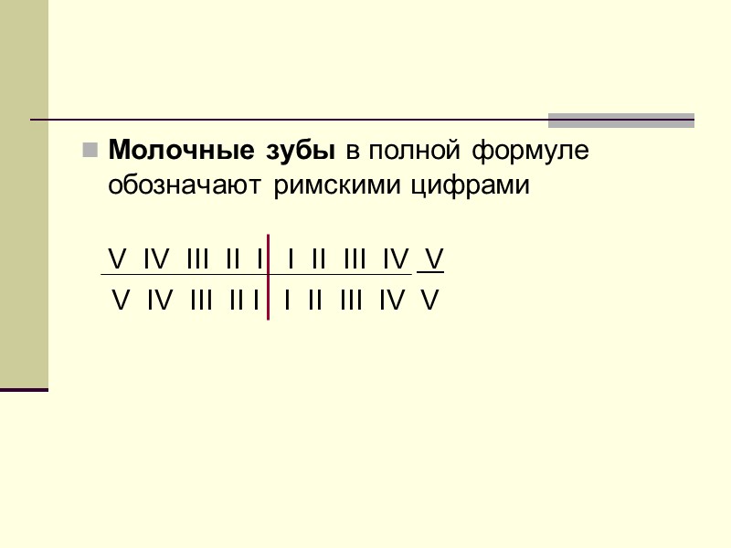 Молочные зубы в полной формуле обозначают римскими цифрами  V  IV  III